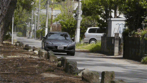 a0056140_17295125.gif