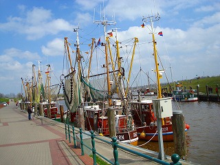 c0153740_413247.jpg