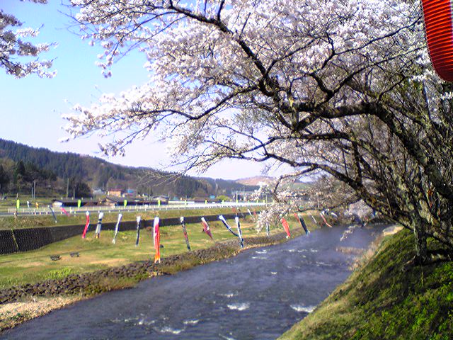 春・爛漫_f0081443_17573768.jpg