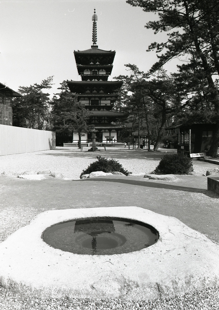 薬師寺 東塔と西塔の礎石 モノクロ 魅せられて大和路 薬師寺 東塔と西塔の礎石 モノクロ 魅せられて大和路