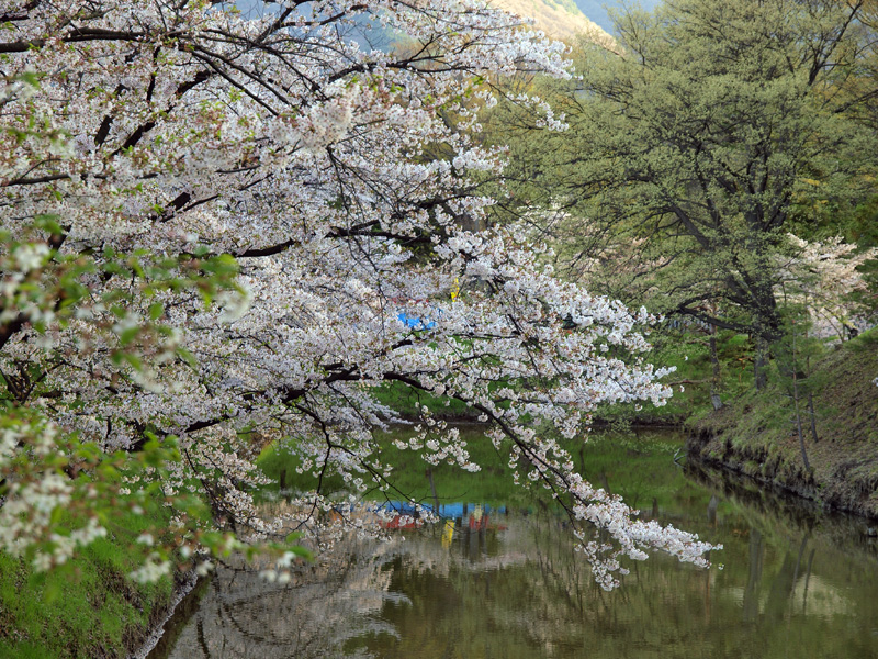 信州撮影旅行　～上田城址1～_b0135347_22483732.jpg