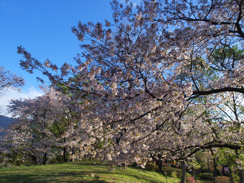 信州撮影旅行　～上田城址1～_b0135347_22485313.jpg