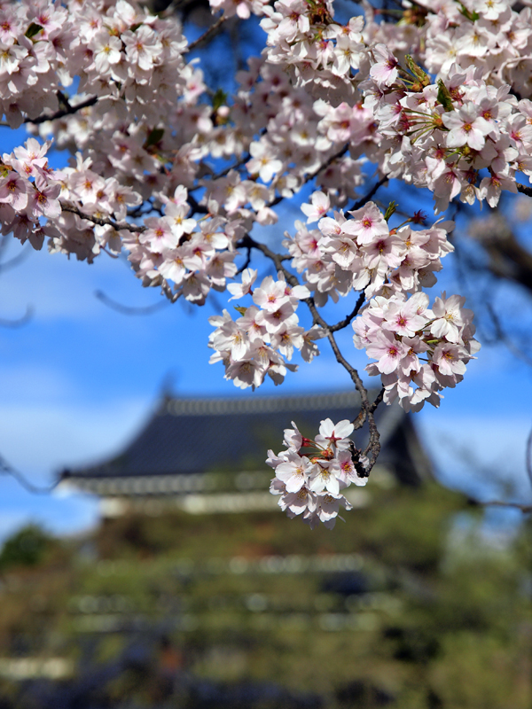 信州撮影旅行　～上田城址1～_b0135347_22511524.jpg