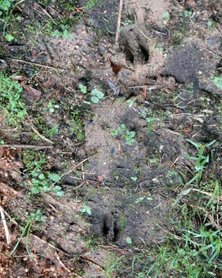 e0035757_11301165.jpg