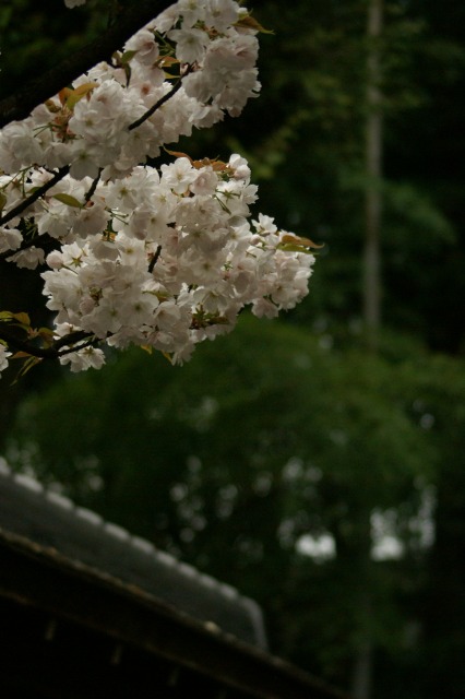 d0141365_21242044.jpg