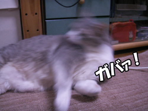 おいおい(´;ω;`)_b0083267_22274278.jpg