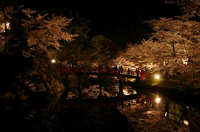 弘前公園、今日現在の桜開花情報は…_d0131668_21373129.jpg