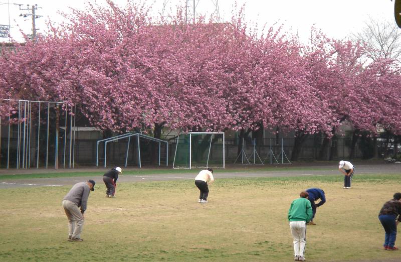 川淵キャプテンが13小の芝を見に来るそうです_f0059673_225454.jpg