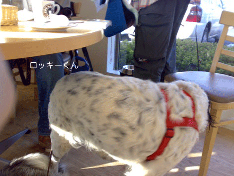 d0087675_0491362.gif