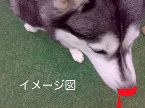 d0087675_118775.gif