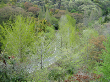 d0059977_1625821.jpg