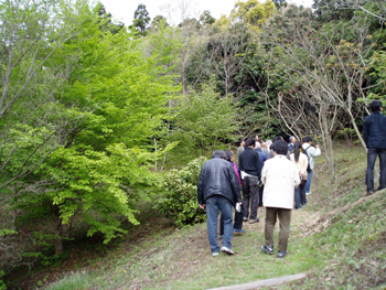 d0059977_1631590.jpg