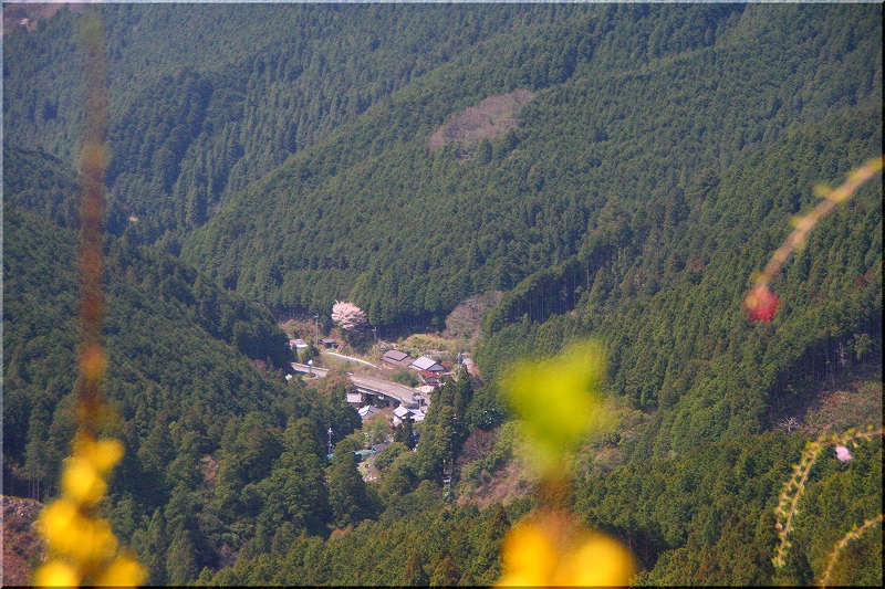 e0024081_23105228.jpg