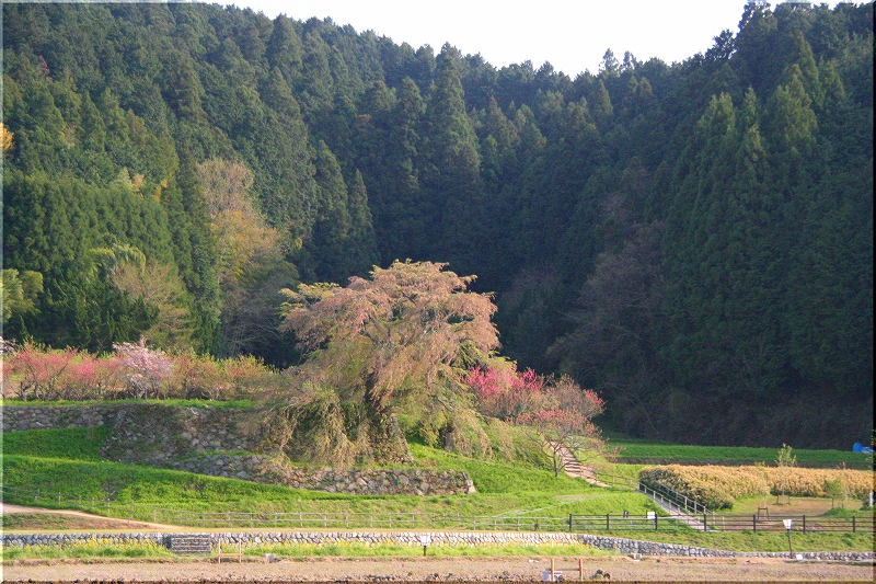 e0024081_23125093.jpg