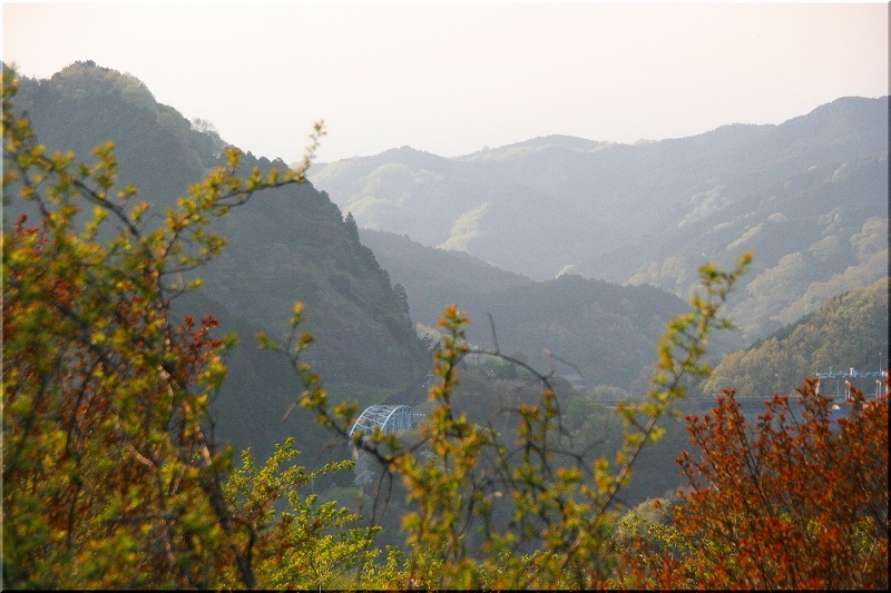 e0024081_2313986.jpg