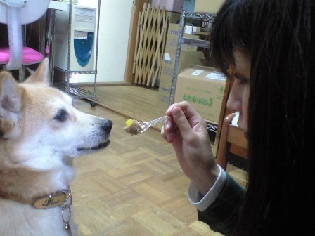 くーの お誕生日~♪_e0123286_19181627.jpg