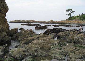 立石海岸へ ぷら り海遊び