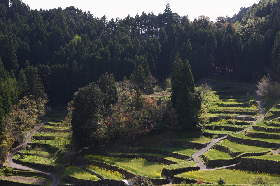 08．04．20：うきは市・葛篭棚田、耶馬溪・立羽田の景、羅漢寺、一人撮影行１_c0007190_19373517.jpg