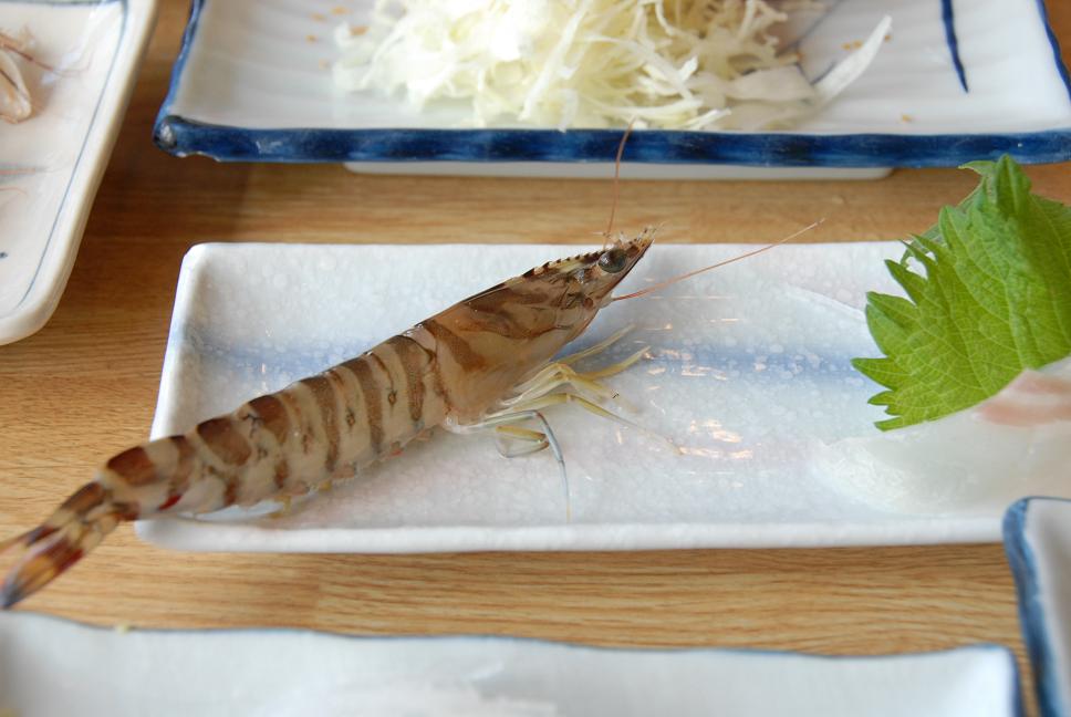 南へ♪_a0049296_21194313.jpg