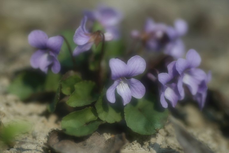 f0002701_791399.jpg