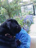 b0077709_4292955.jpg