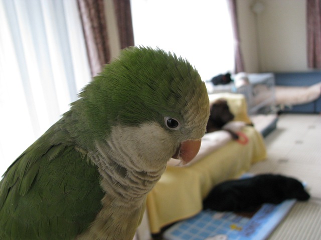 d0081210_22363113.jpg