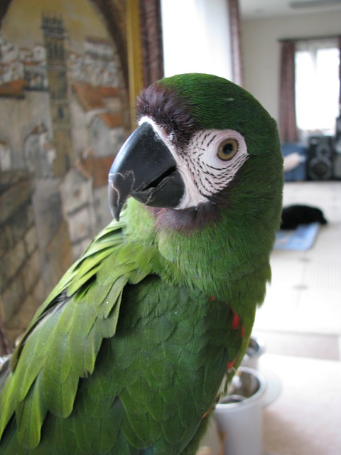 d0081210_22371099.jpg