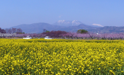 小布施町 千曲川河川公園_d0066822_22403180.jpg