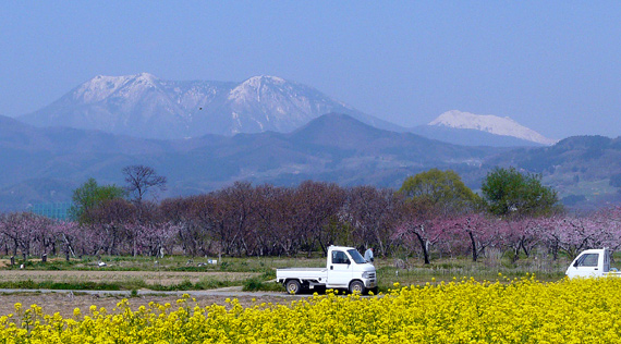 小布施町 千曲川河川公園_d0066822_22414740.jpg