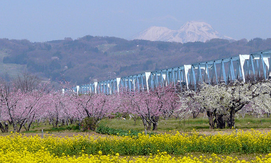 小布施町 千曲川河川公園_d0066822_2241581.jpg