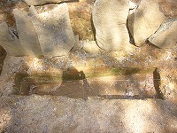 d0086228_10211246.jpg