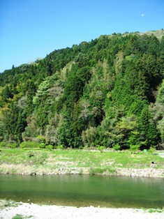 d0139231_130193.jpg