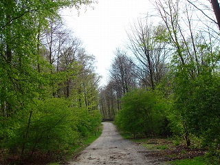 c0153740_3284550.jpg