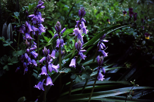 f0149442_2119299.jpg