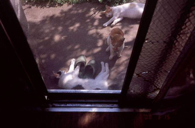 f0149442_21221761.jpg