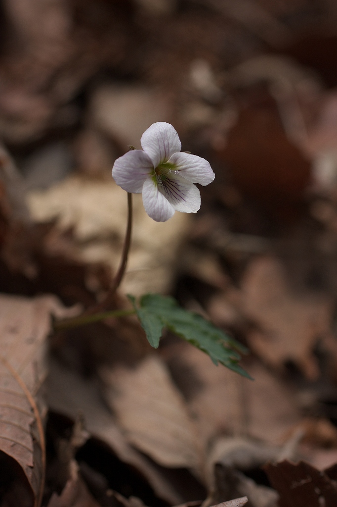 c0008948_23114050.jpg