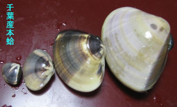 f0002750_20104088.jpg