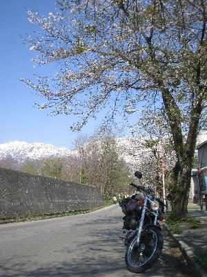 f0116350_93325.jpg