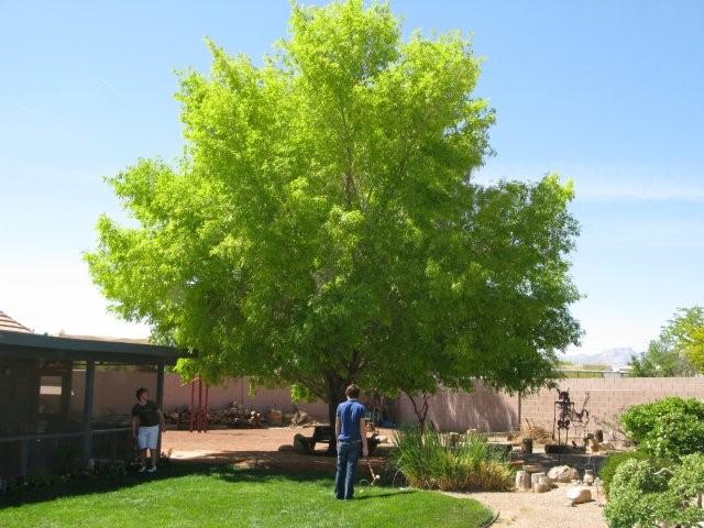 Trees and people_c0157558_14382055.jpg
