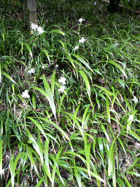 c0147261_220036.jpg
