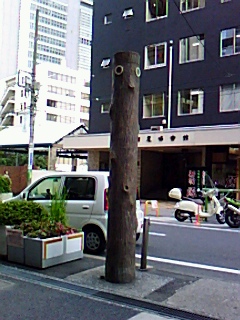 気になる木_d0069964_846885.jpg