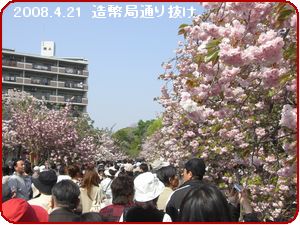 a0052666_0195827.jpg