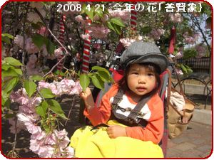 a0052666_0205971.jpg