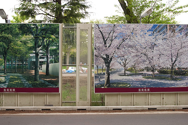 桜堤 背脂も一気に飲みたかったけど我慢 2008年4月21日_d0123571_083381.jpg