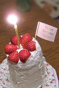 2008年3月　息子の一歳の誕生日会_b0017873_2444093.jpg