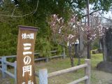 話題の長野市ですが、小諸(こもろ)は平穏でした。_d0029276_11134792.jpg