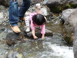 c0105177_233143100.jpg