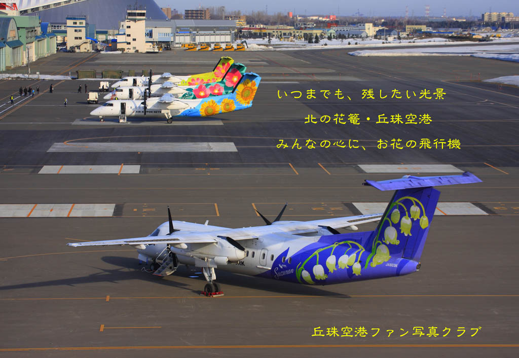 お花の飛行機いつまでも お花の飛行機いつまでも