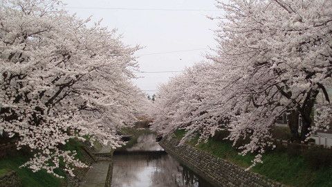 マイカーで２９００MK －その８（富山から永平寺へ）_d0124388_16463096.jpg