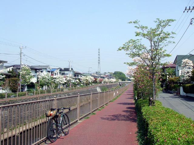 e0034994_15575242.jpg